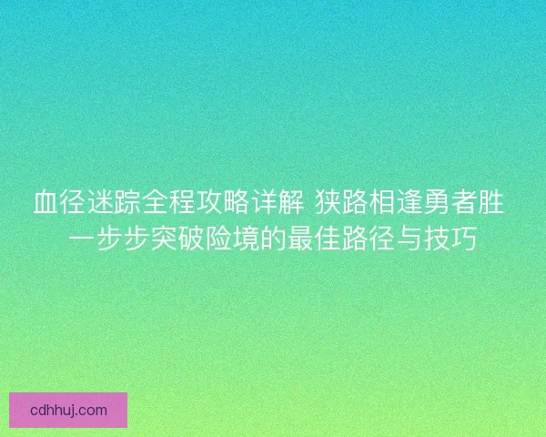 血径迷踪全程攻略详解 狭路相逢勇者胜 一步步突破险境的最佳路径与技巧